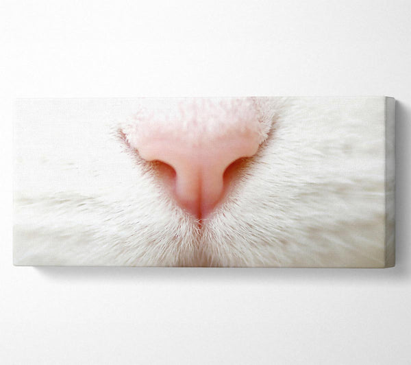 Cat Nose 2