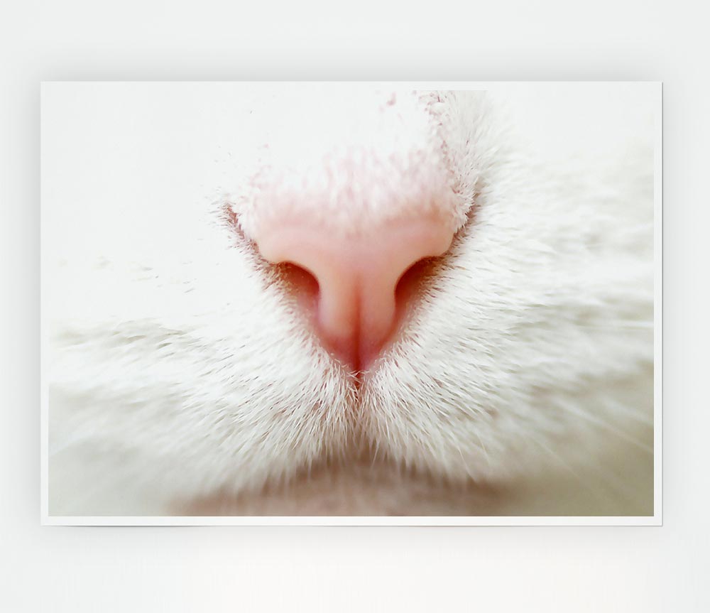 Cat Nose 2 Print Poster Wall Art