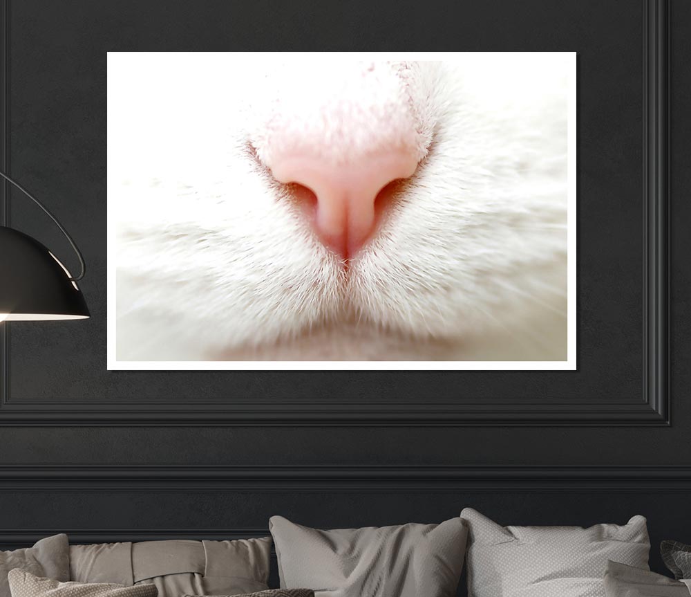 Cat Nose 2 Print Poster Wall Art