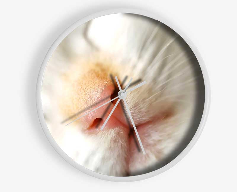 Cat Nose Clock - Wallart-Direct UK