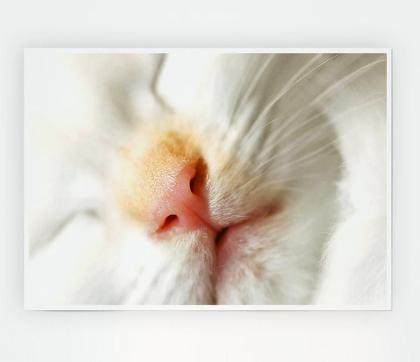 Cat Nose Print Poster Wall Art