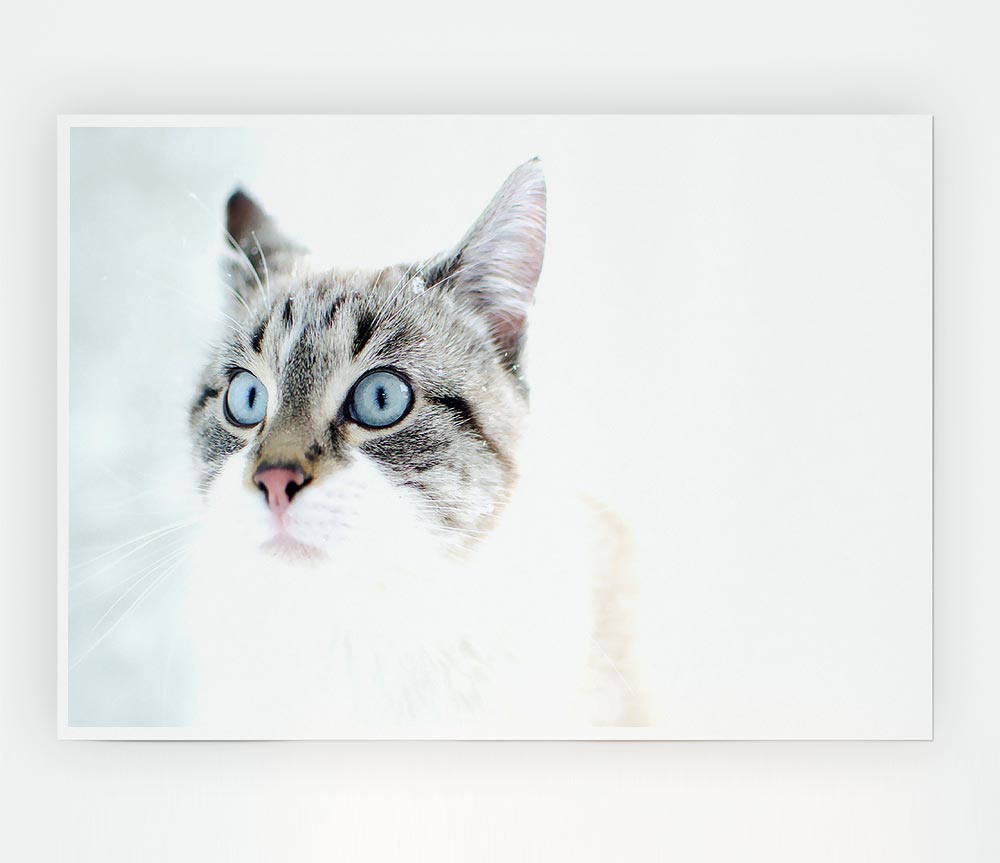 Cat Snow Print Poster Wall Art