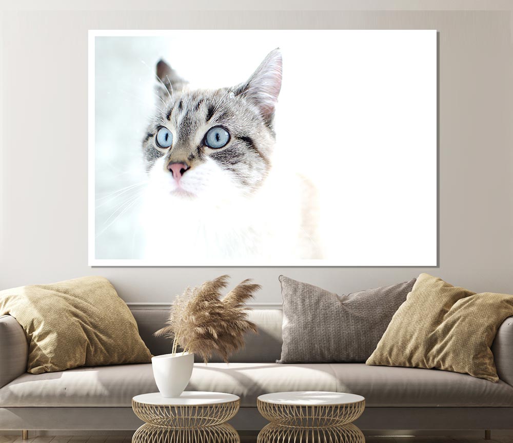 Cat Snow Print Poster Wall Art