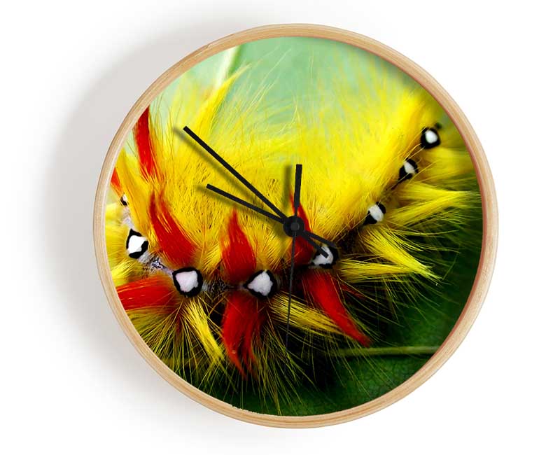 Caterpillar Beauty Clock - Wallart-Direct UK