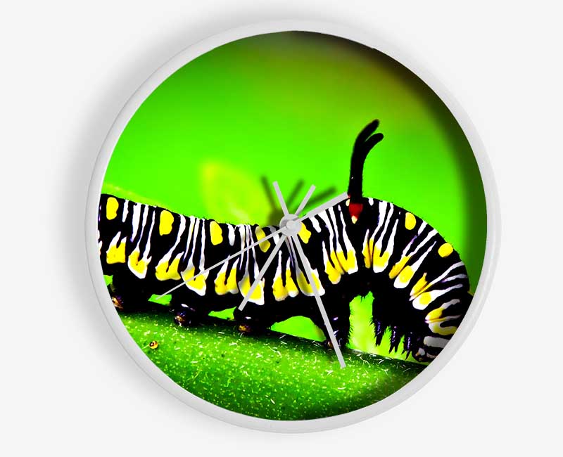 Caterpillar Macro Clock - Wallart-Direct UK