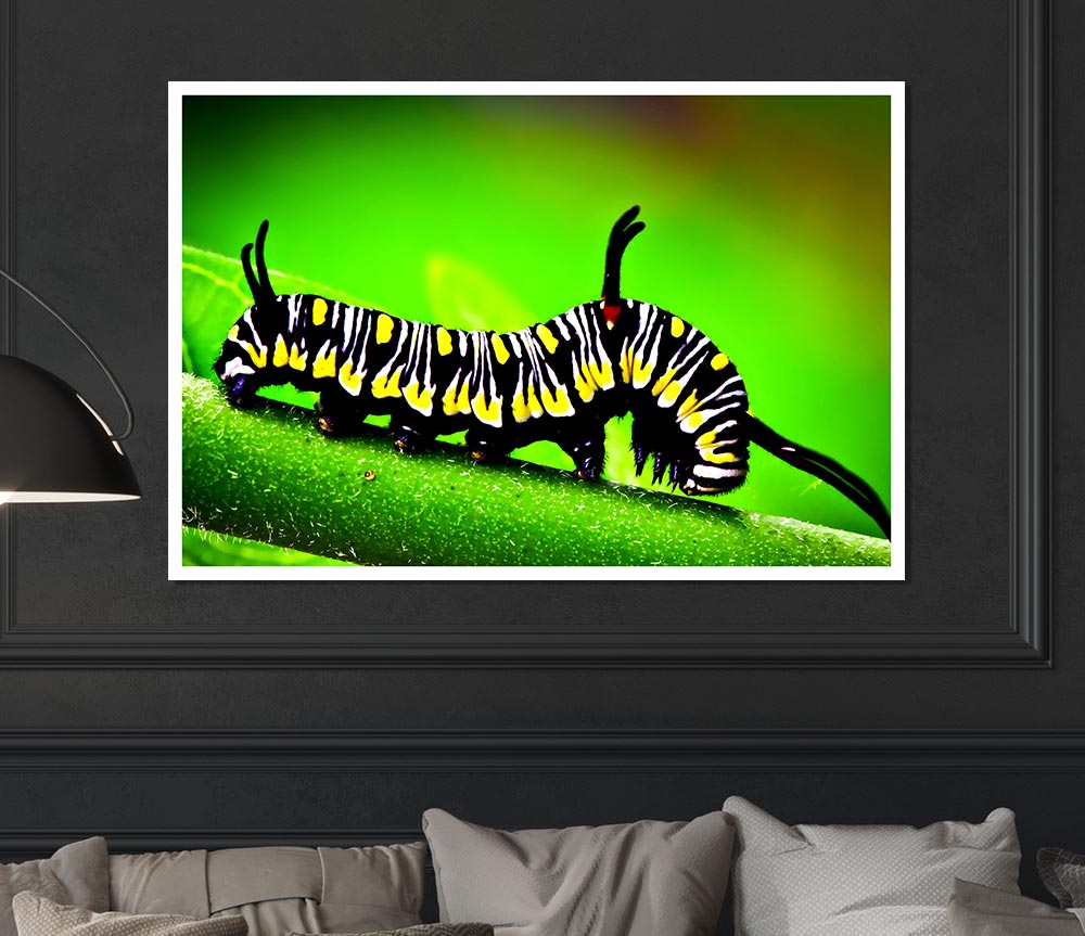 Caterpillar Macro Print Poster Wall Art