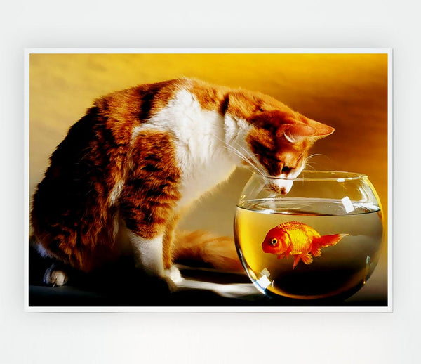 Cats Dinner Time Print Poster Wall Art