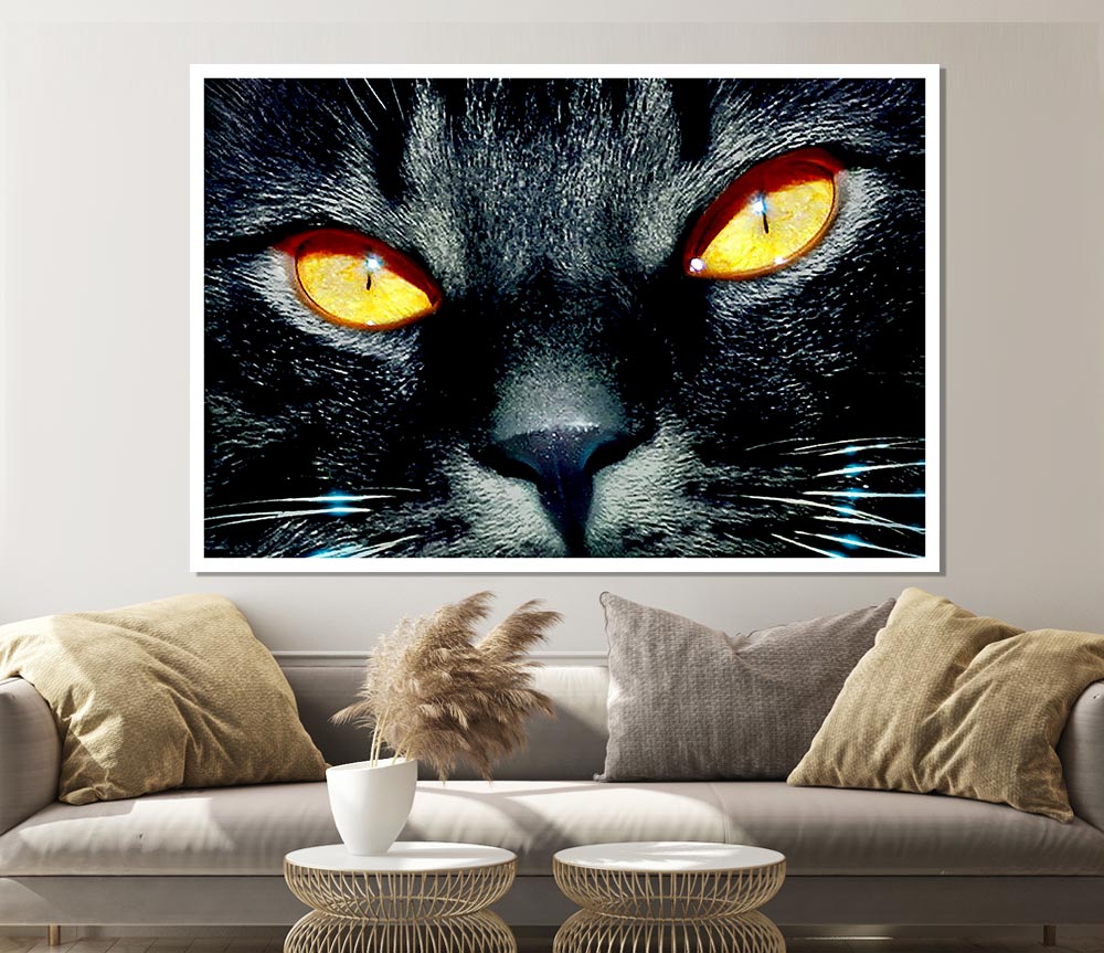 Cats Eyes Print Poster Wall Art