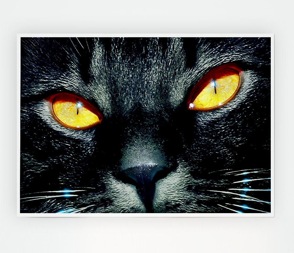 Cats Eyes Print Poster Wall Art