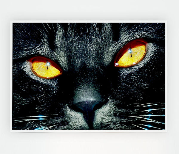 Cats Eyes Print Poster Wall Art