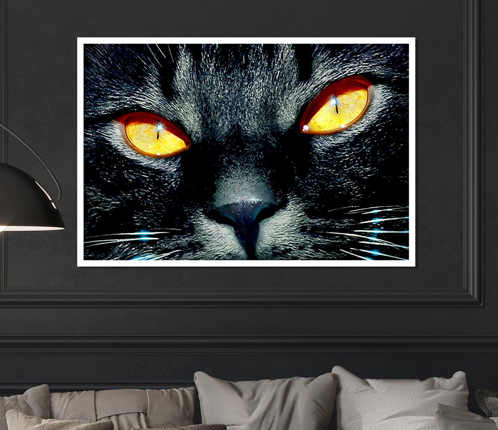 Cats Eyes Print Poster Wall Art