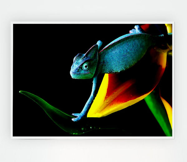 Chameleon In Blue Print Poster Wall Art