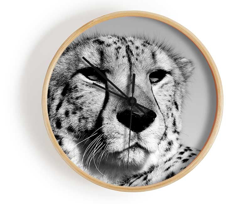 Cheetah Stare Clock - Wallart-Direct UK