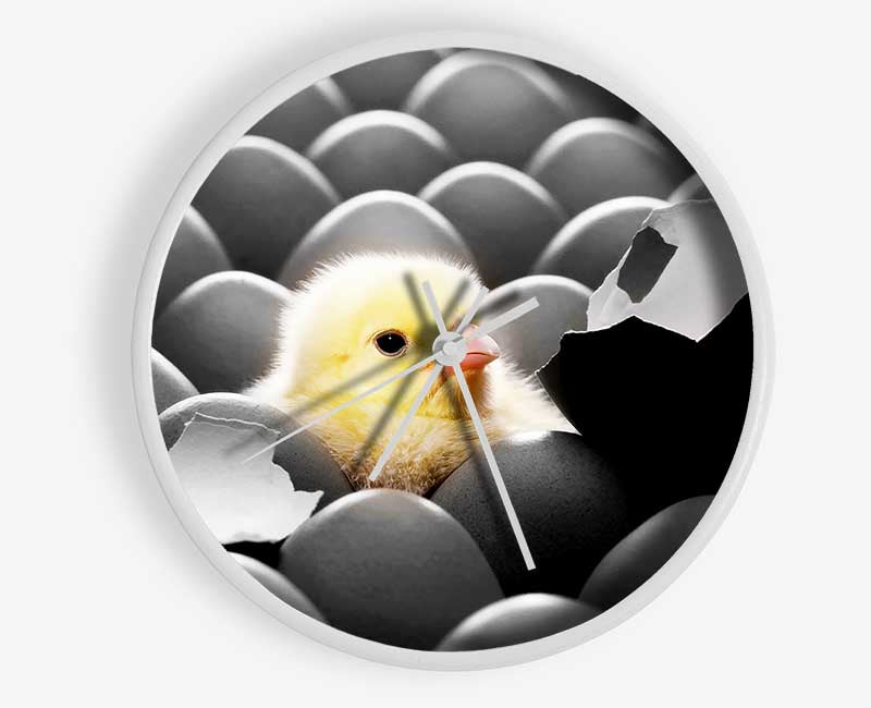 Chick Hatching Clock - Wallart-Direct UK