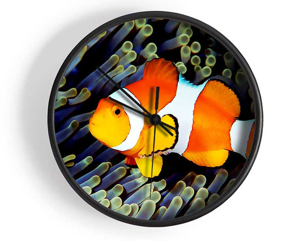 Clown Fish Clock - Wallart-Direct UK