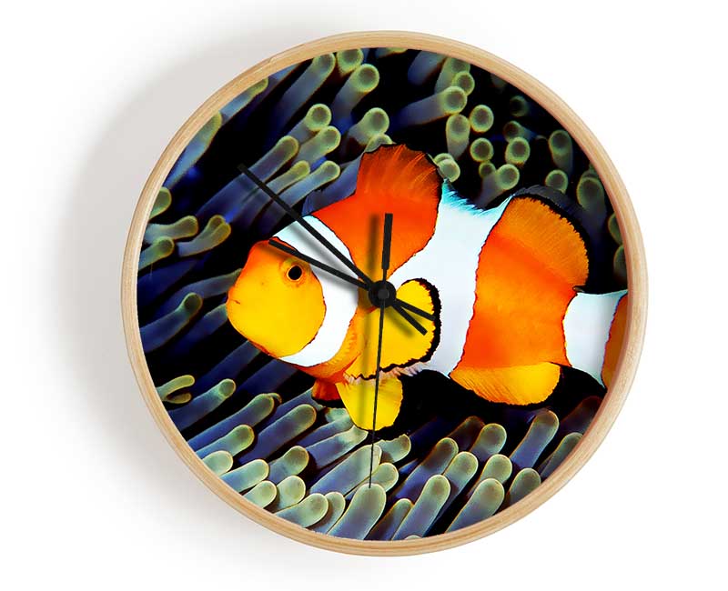 Clown Fish Clock - Wallart-Direct UK