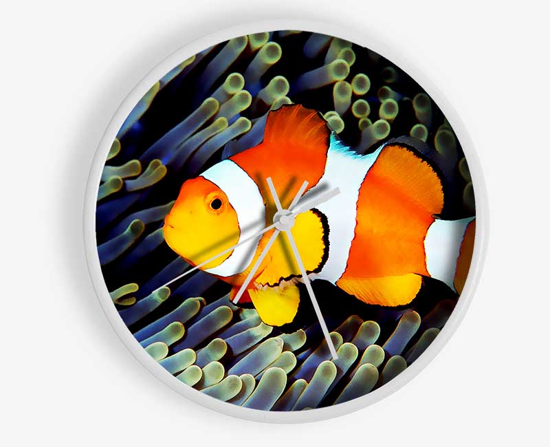 Clown Fish Clock - Wallart-Direct UK