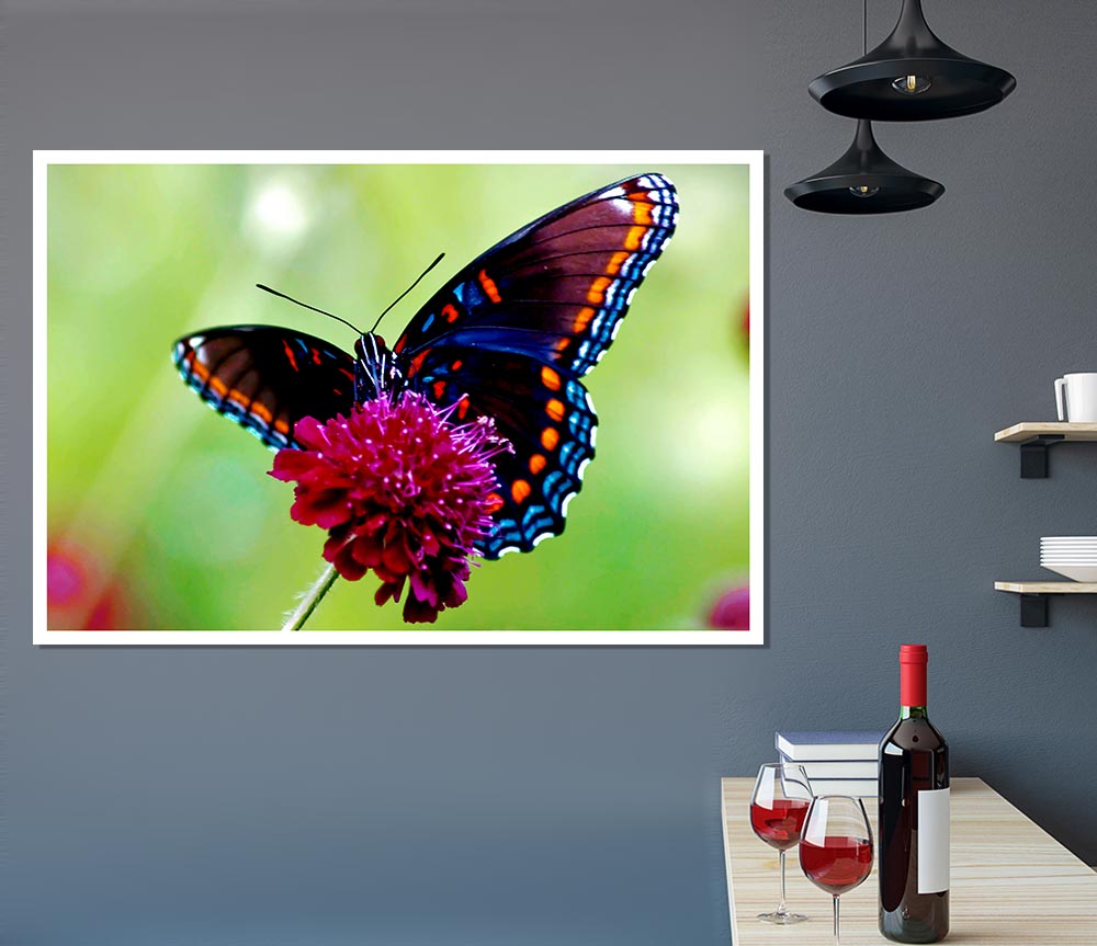 Colourful Butterfly Flower Print Poster Wall Art