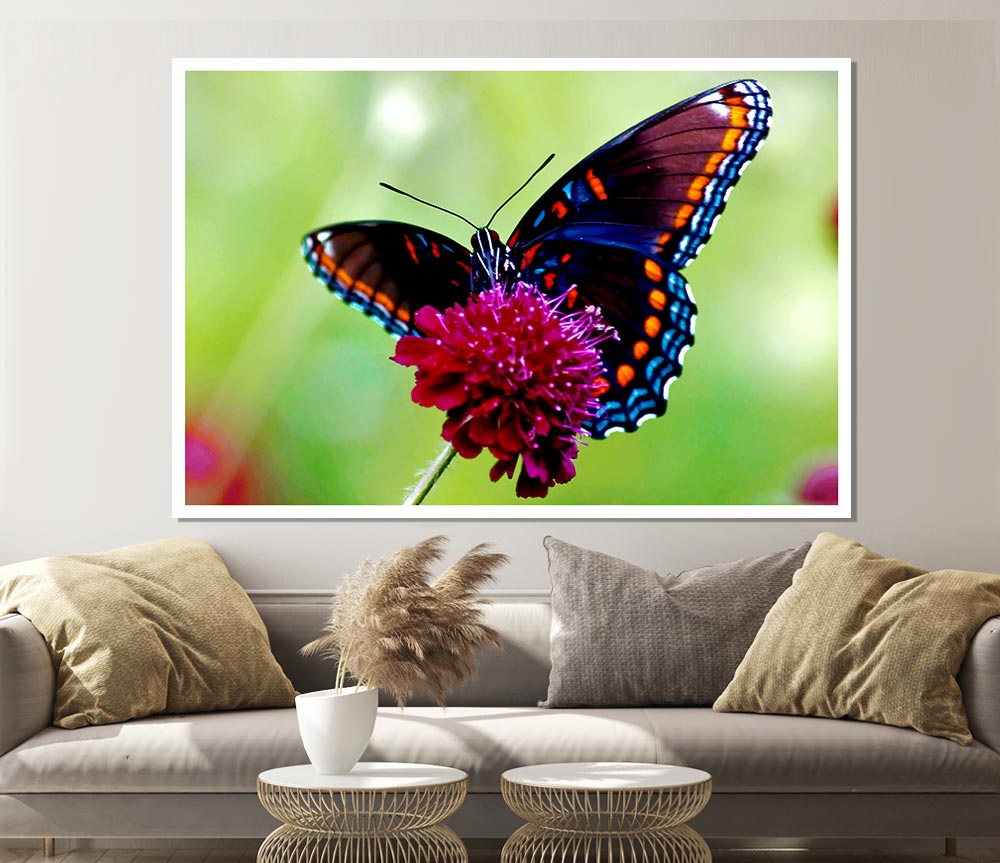 Colourful Butterfly Flower Print Poster Wall Art