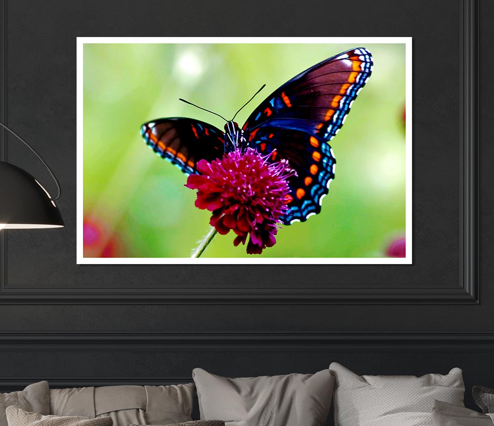 Colourful Butterfly Flower Print Poster Wall Art