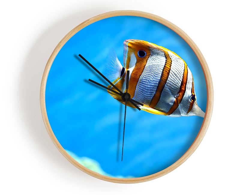 Copperband Butterfly Fish Clock - Wallart-Direct UK