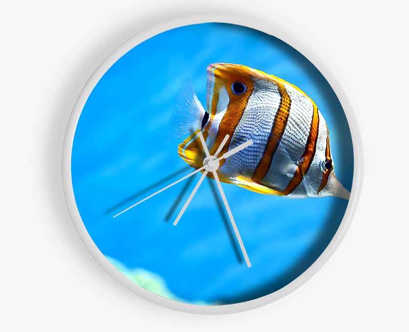 Copperband Butterfly Fish Clock - Wallart-Direct UK