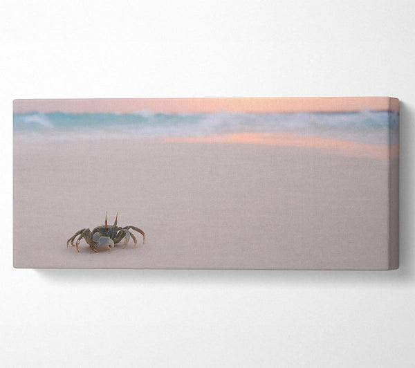 Crab On Beach