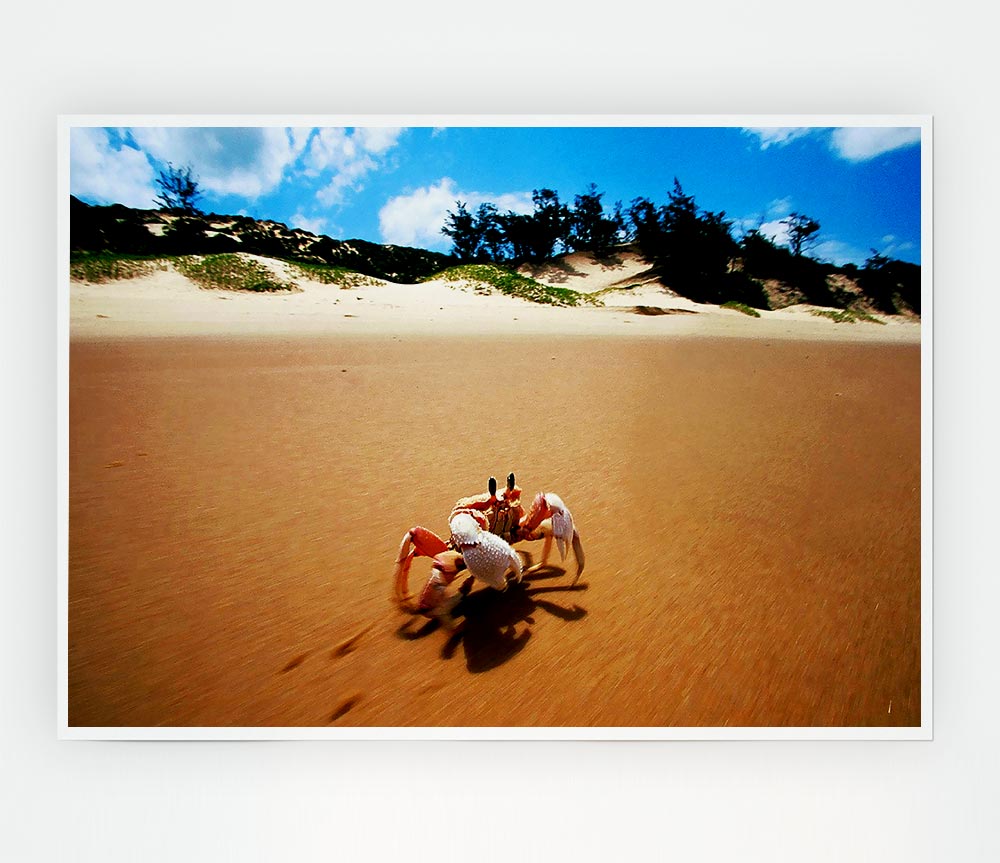 Crab Paradise Print Poster Wall Art