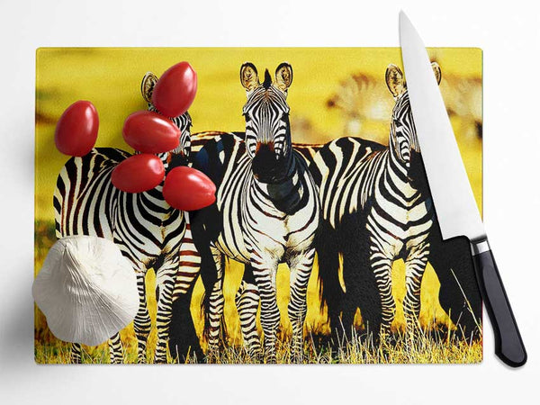 Curious Zebras Glass Chopping Board