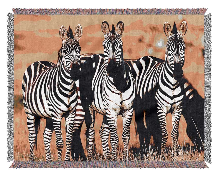 Curious Zebras Woven Blanket