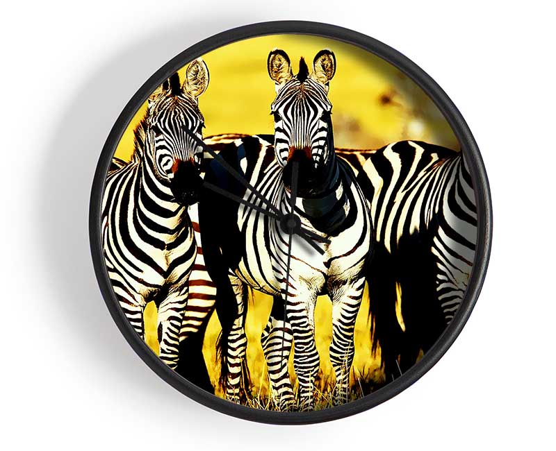 Curious Zebras Clock - Wallart-Direct UK