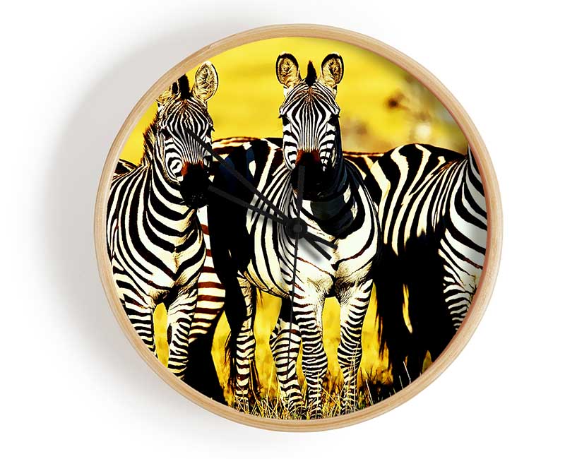 Curious Zebras Clock - Wallart-Direct UK