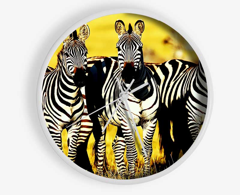 Curious Zebras Clock - Wallart-Direct UK