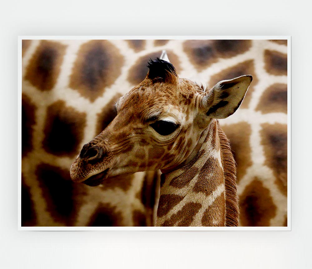 Cute Giraffe Print Poster Wall Art