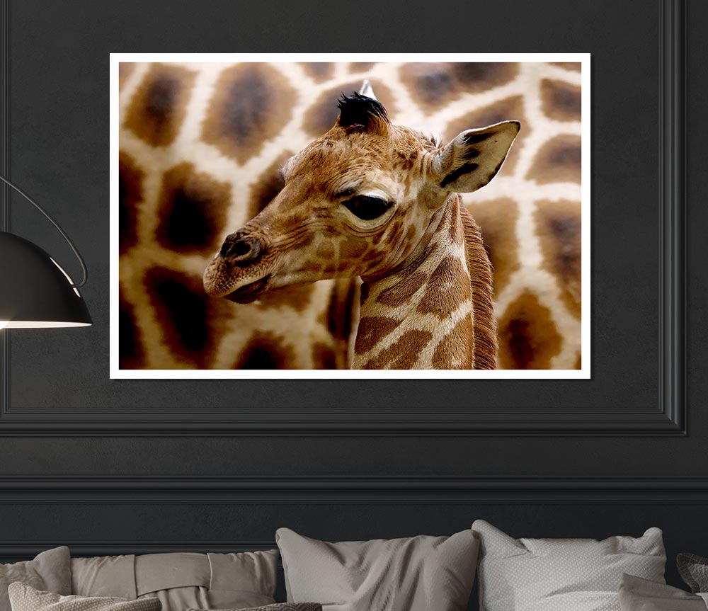 Cute Giraffe Print Poster Wall Art