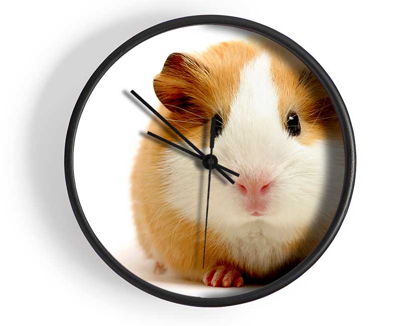 Cute Guinea Pig Clock - Wallart-Direct UK