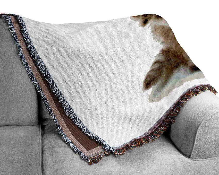 Cute Kitten Paws Woven Blanket