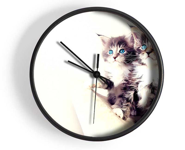 Cute Kittens Clock - Wallart-Direct UK