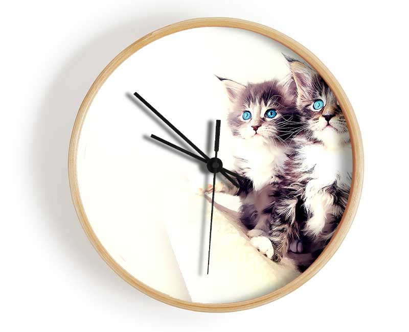 Cute Kittens Clock - Wallart-Direct UK