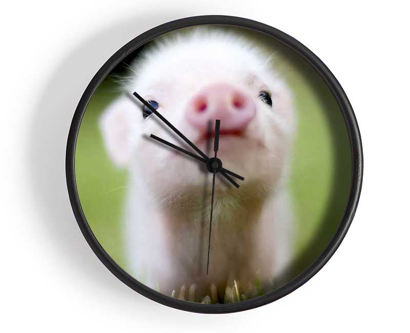 Cute Pig Clock - Wallart-Direct UK