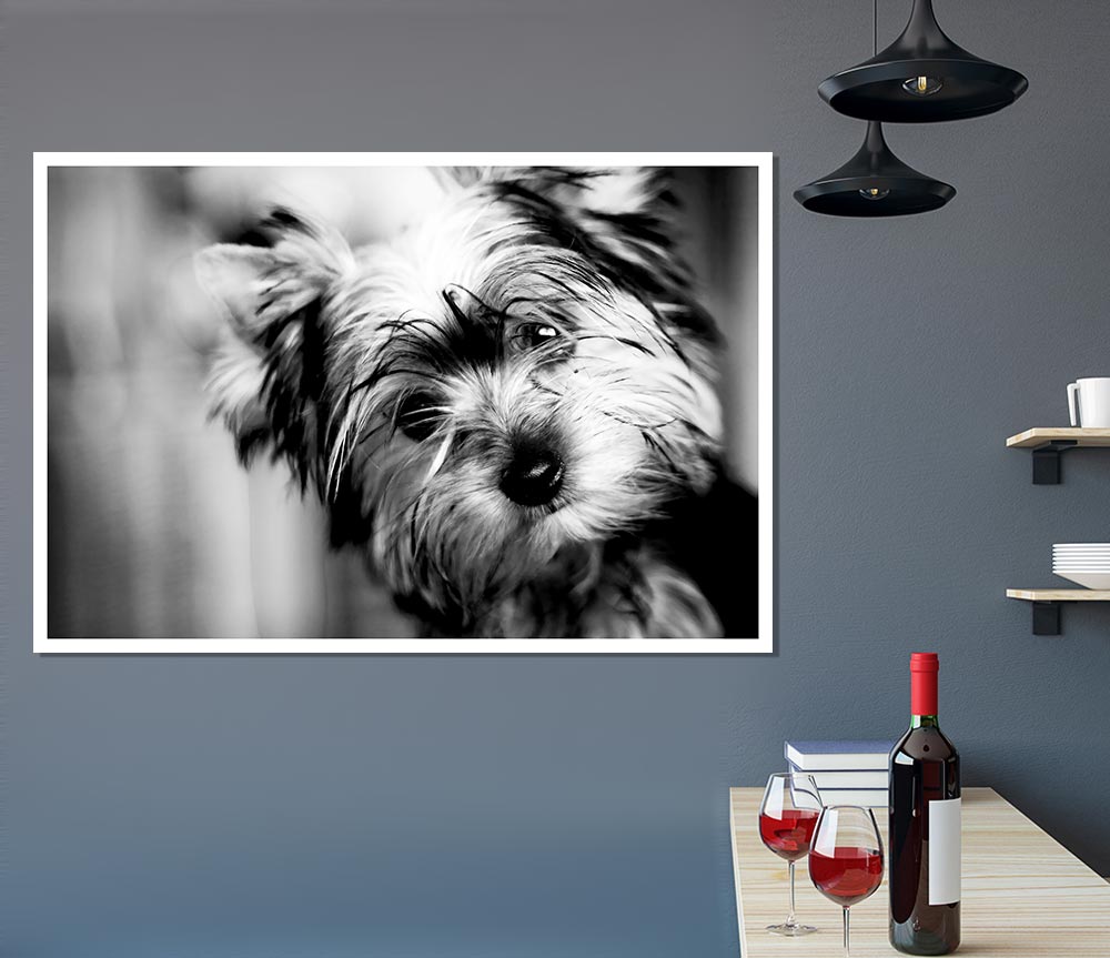 Cute Yorkshire Terrier Print Poster Wall Art