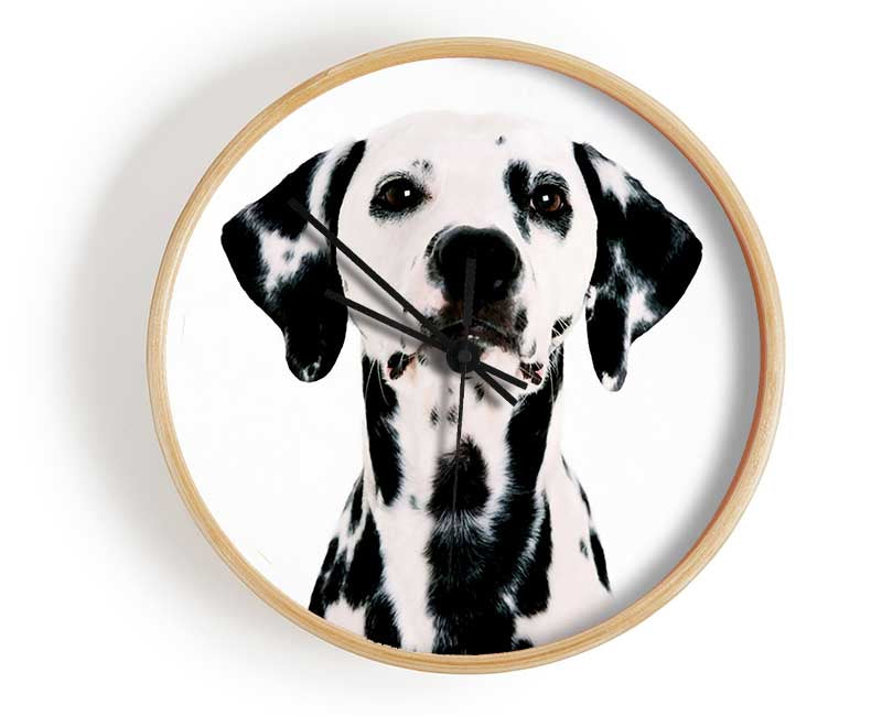 Dalmatian Beauty Clock - Wallart-Direct UK