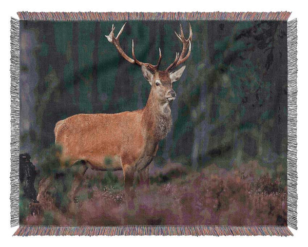 Deer 2 Woven Blanket