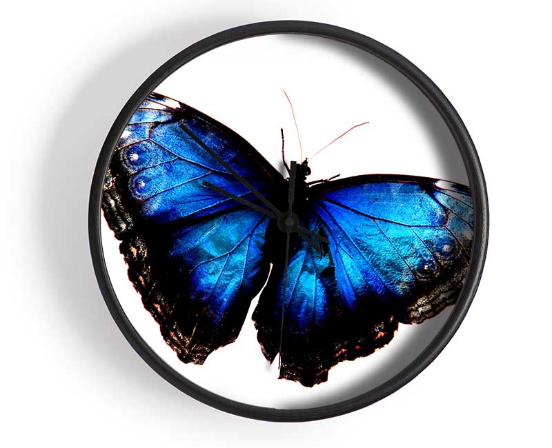 Diamond Blue Butterfly Wings Clock - Wallart-Direct UK