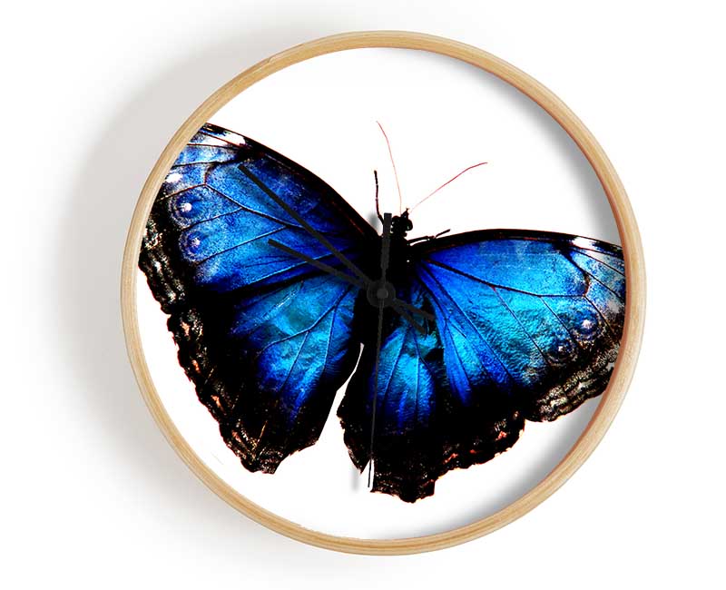 Diamond Blue Butterfly Wings Clock - Wallart-Direct UK