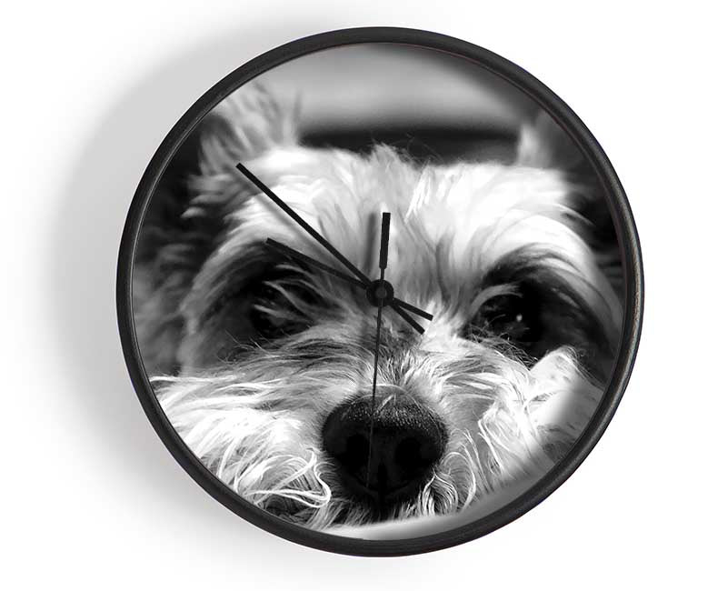 Dog B n W Clock - Wallart-Direct UK