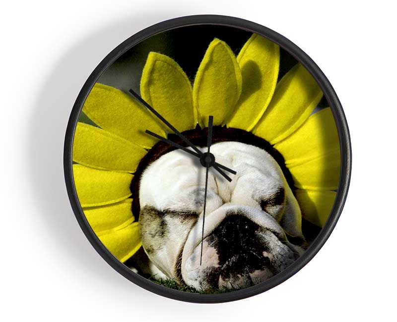 Dog Sunflower Hat Clock - Wallart-Direct UK