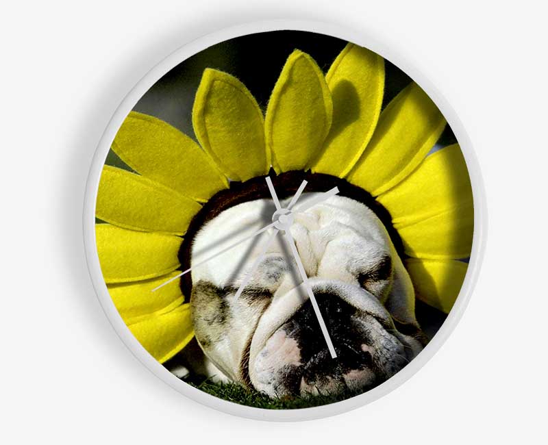 Dog Sunflower Hat Clock - Wallart-Direct UK