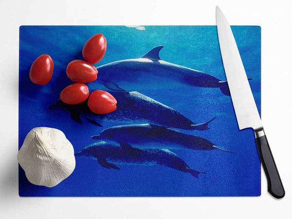 Dolphin Family Glass Chopping Board