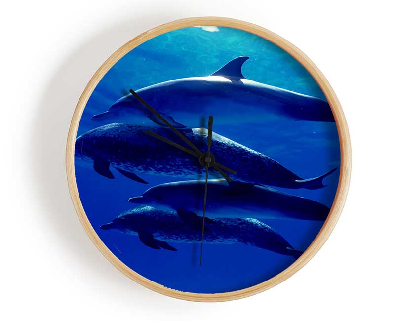 Dolphin Family Clock - Wallart-Direct UK